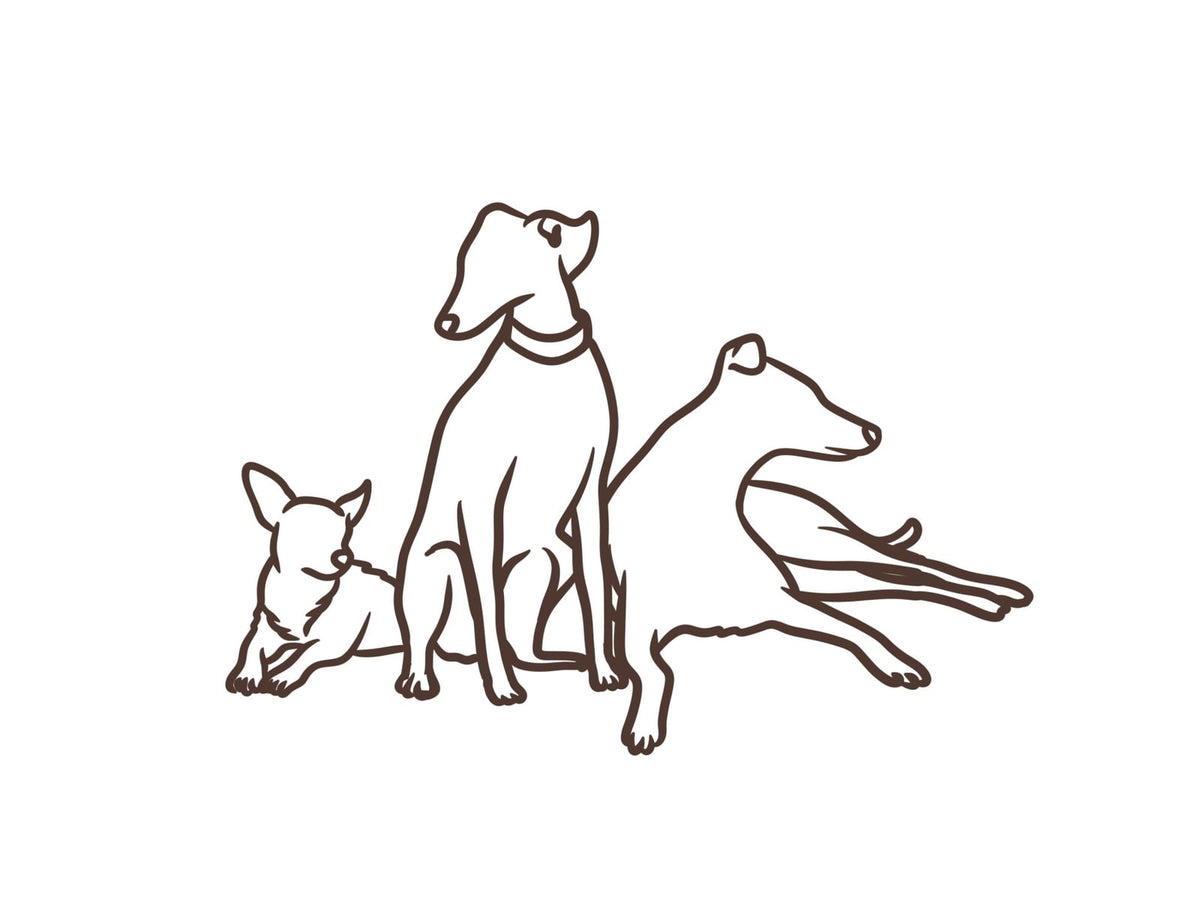 Linienzeichnung der drei Hunde von Marjolein Sneyers, vereint in einem Porträt